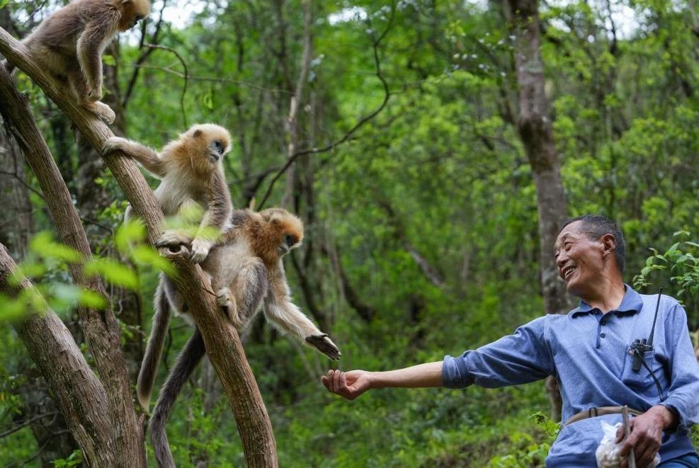 首次立法！國家公園筑起“法治屏障”
